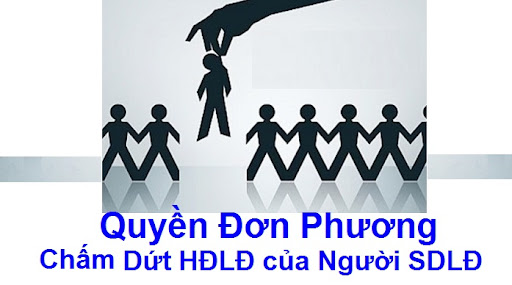 quyen don phuong cham dut HDLD cua NSDLD.jpg